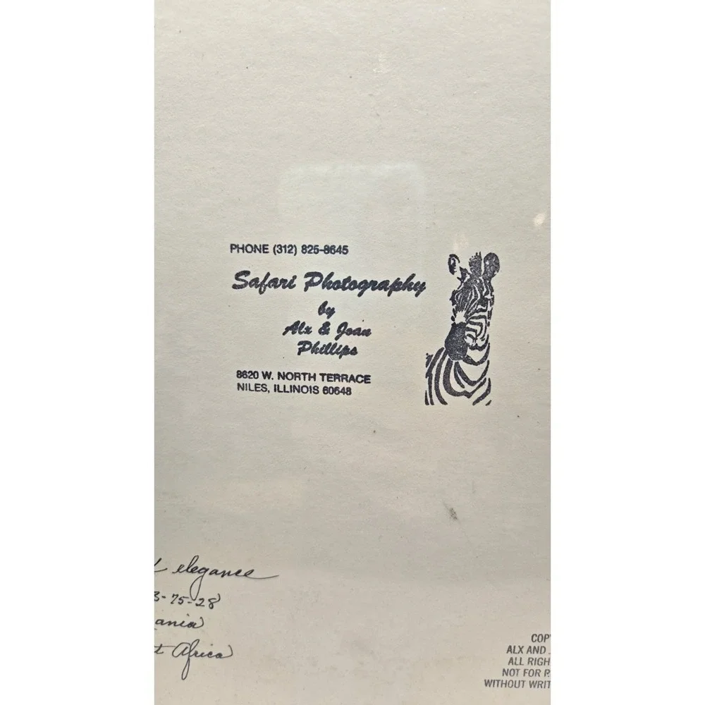Chicago Vintage 1984 Zebra Safari Photography Sealed Striped Elegance Africa Art - Picture 5 of 11